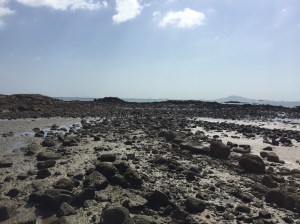 IMG_2986